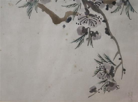 A Chinese picture of blossom